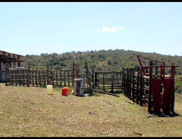 226HA FARM FOR SALE IN KOMGA RURAL